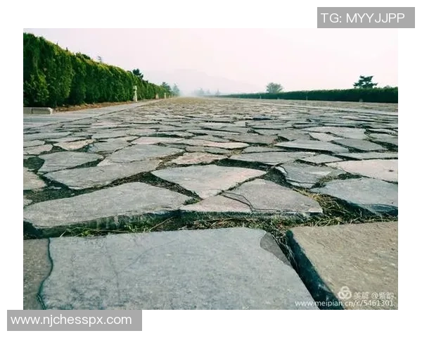与吴娜畅聊网球生涯的点滴与挑战，探寻她的成长与梦想